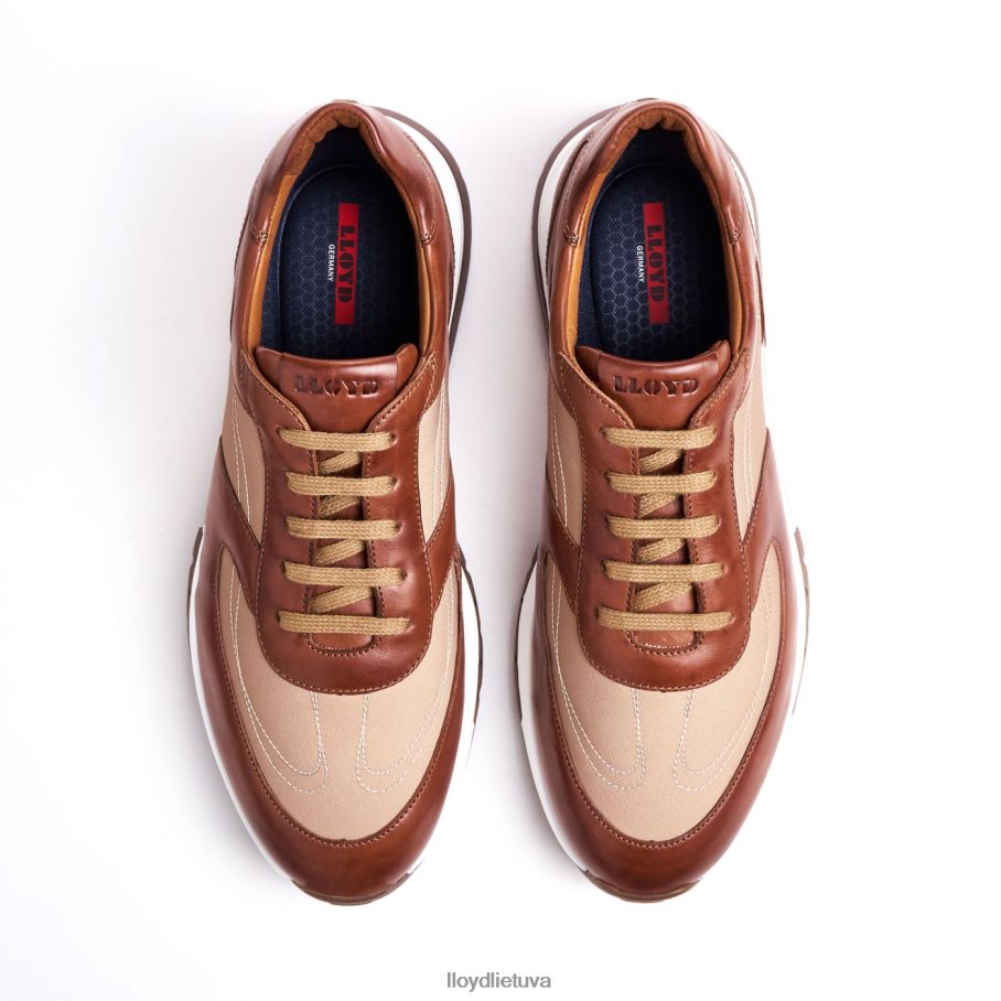 LLOYD Albany vyrų avalynė rudas VF40PZ1337