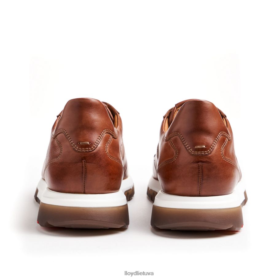 LLOYD Albany vyrų avalynė rudas VF40PZ1337