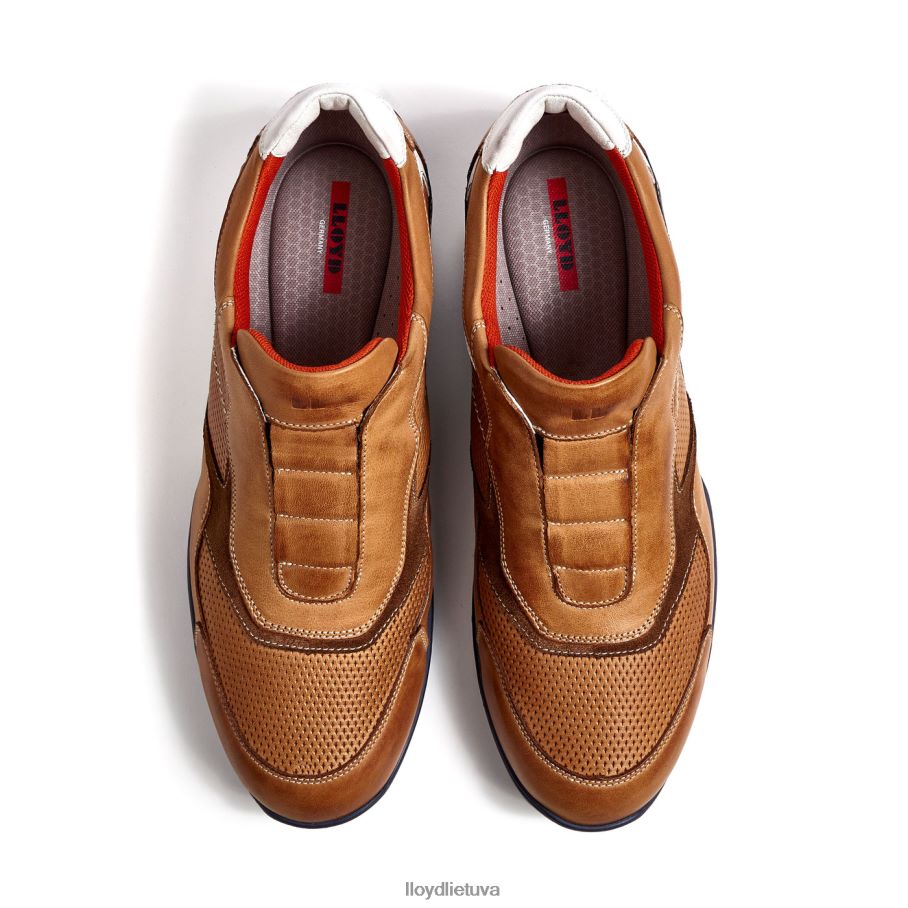 LLOYD Banfieldas vyrų avalynė rudas VF40PZ347