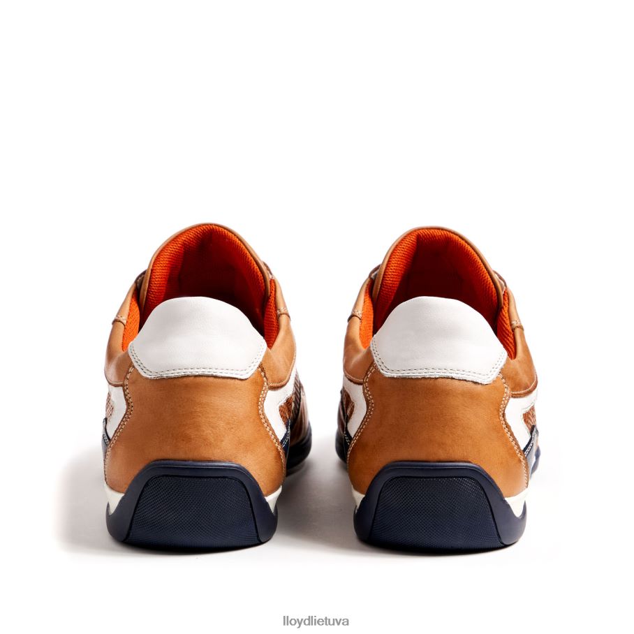 LLOYD Banfieldas vyrų avalynė rudas VF40PZ347