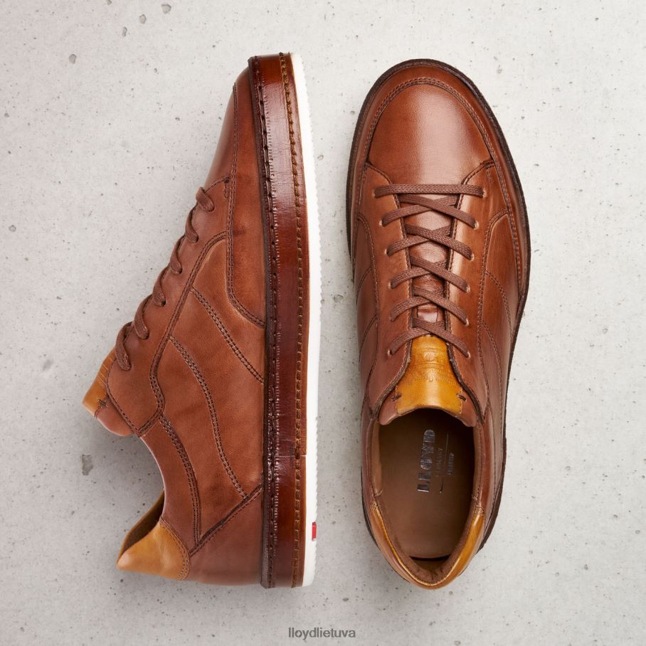 LLOYD Blackburn vyrų avalynė rudas VF40PZ440