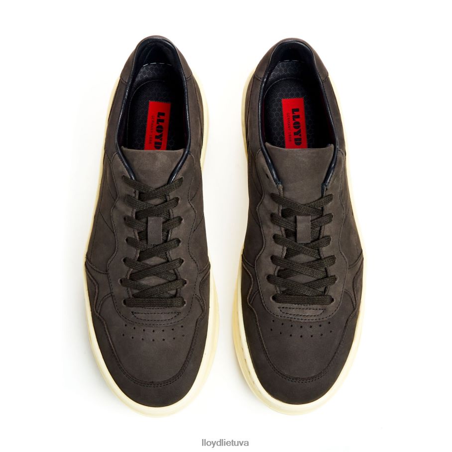 LLOYD Bogota vyrų avalynė rudas VF40PZ300