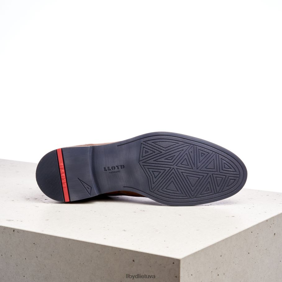 LLOYD Danielius vyrų avalynė rudas VF40PZ549