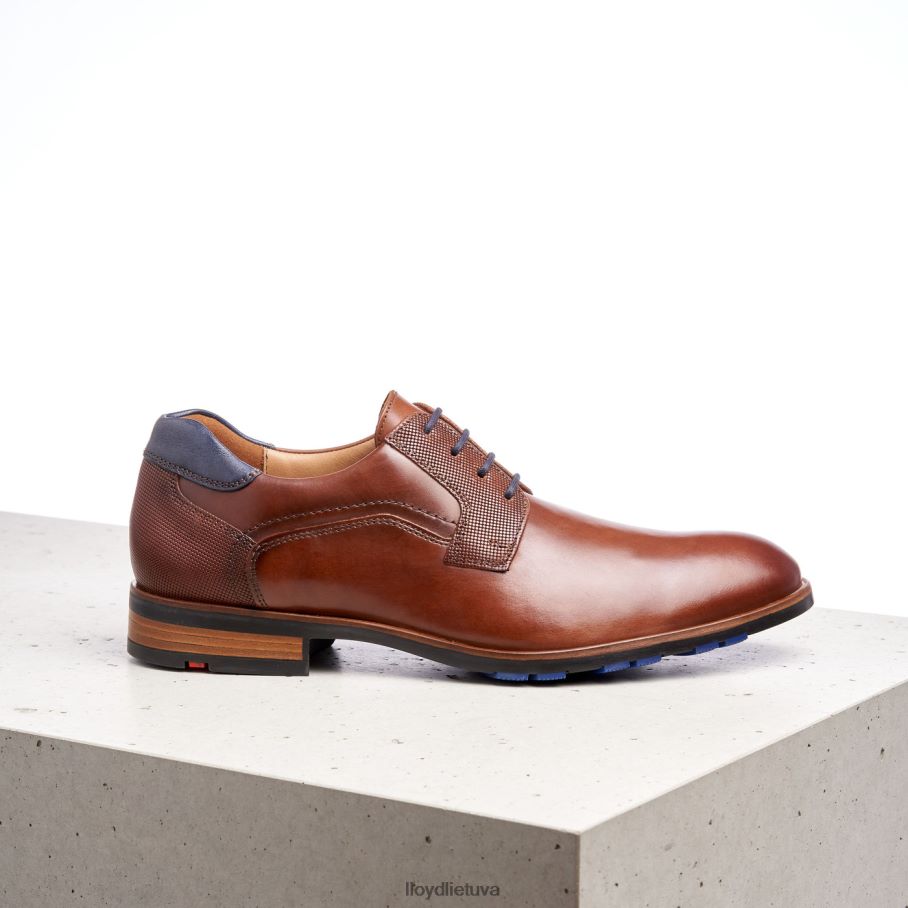 LLOYD Džeikas vyrų avalynė rudas VF40PZ199