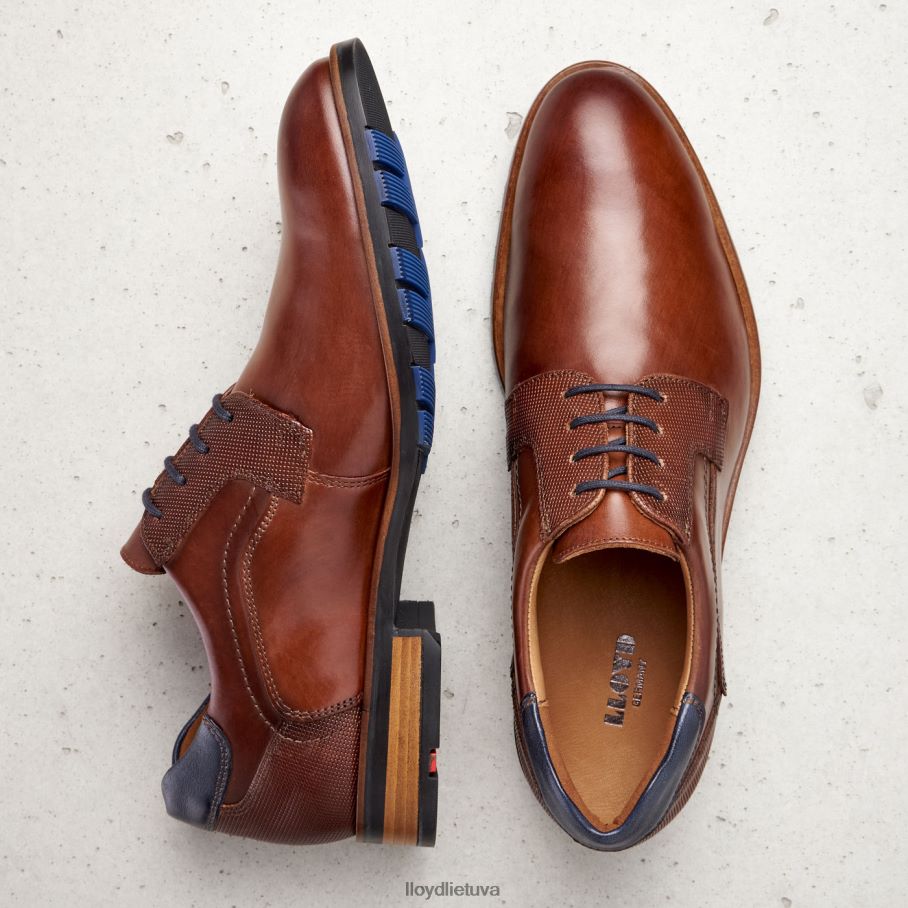 LLOYD Džeikas vyrų avalynė rudas VF40PZ199