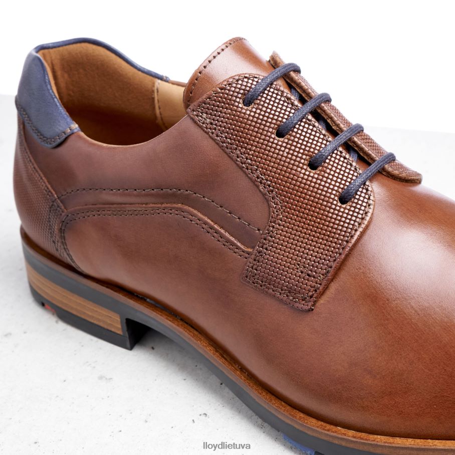 LLOYD Džeikas vyrų avalynė rudas VF40PZ199