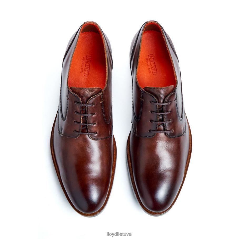 LLOYD Džeksonas vyrų avalynė rudas VF40PZ46