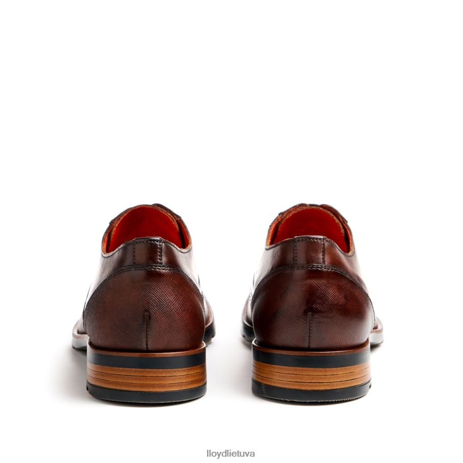 LLOYD Džeksonas vyrų avalynė rudas VF40PZ46