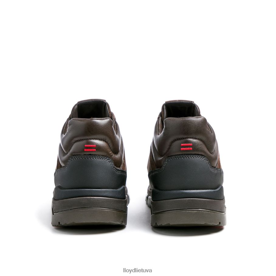 LLOYD Edd vyrų avalynė rudas VF40PZ467