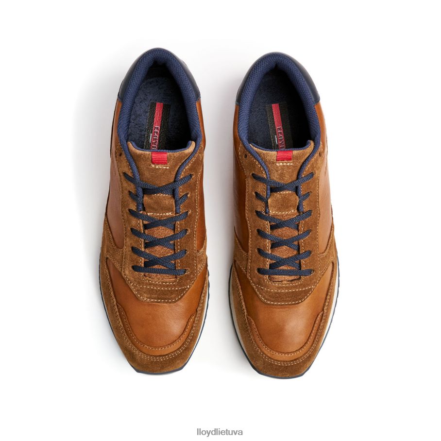 LLOYD Edmondas vyrų avalynė rudas VF40PZ310