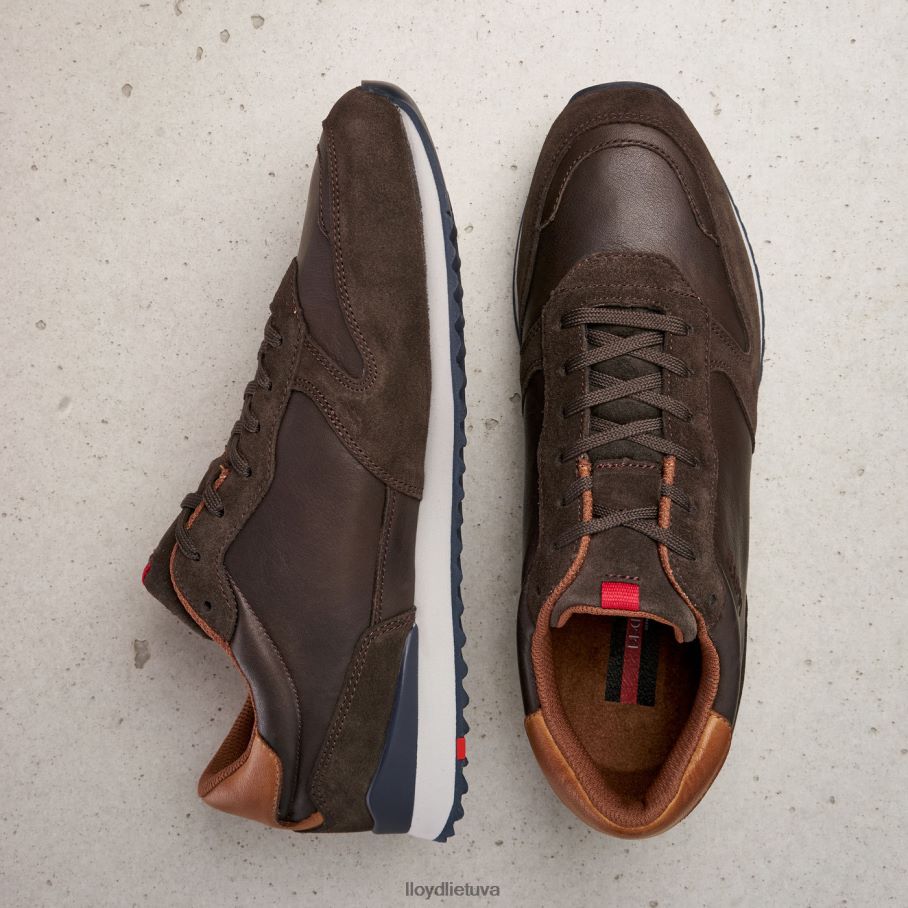 LLOYD Edmondas vyrų avalynė rudas VF40PZ401