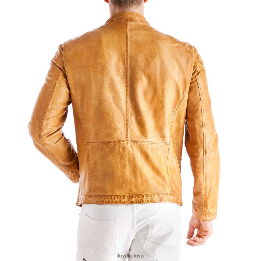 LLOYD Emiliano vyrų apranga geltona VF40PZ629