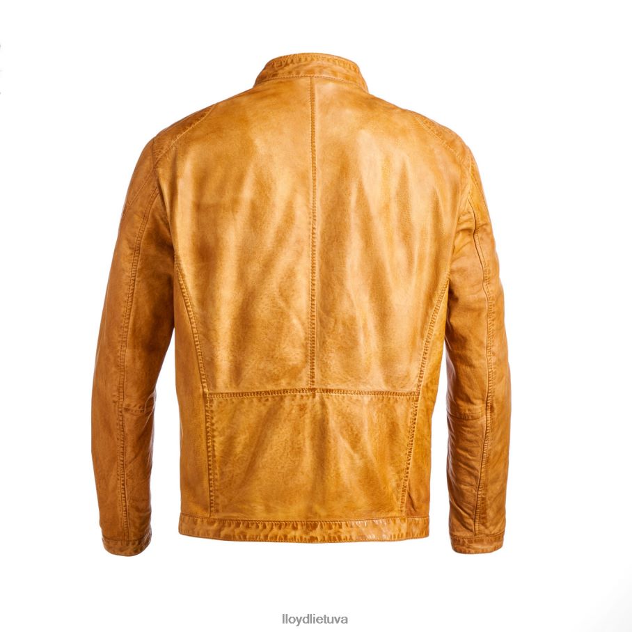 LLOYD Emiliano vyrų apranga geltona VF40PZ629