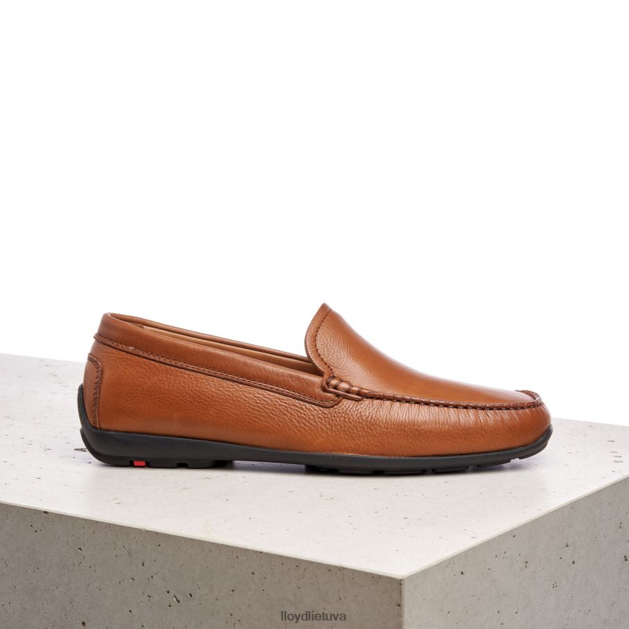 LLOYD Emilio vyrų avalynė rudas VF40PZ603