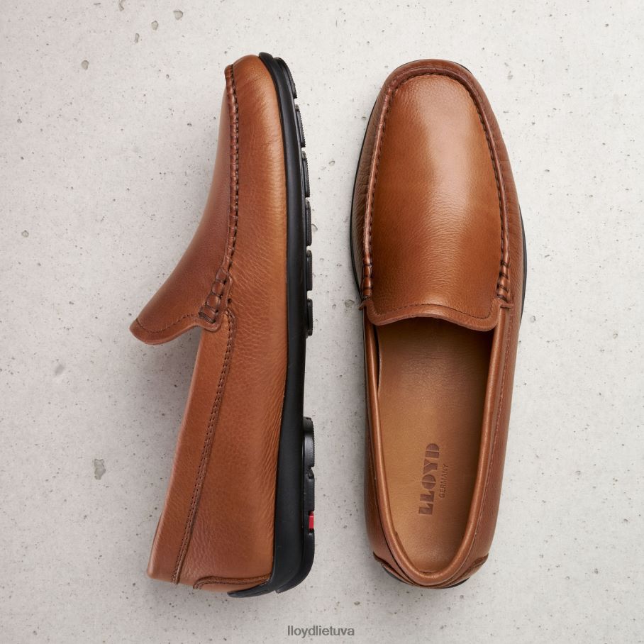 LLOYD Emilio vyrų avalynė rudas VF40PZ603