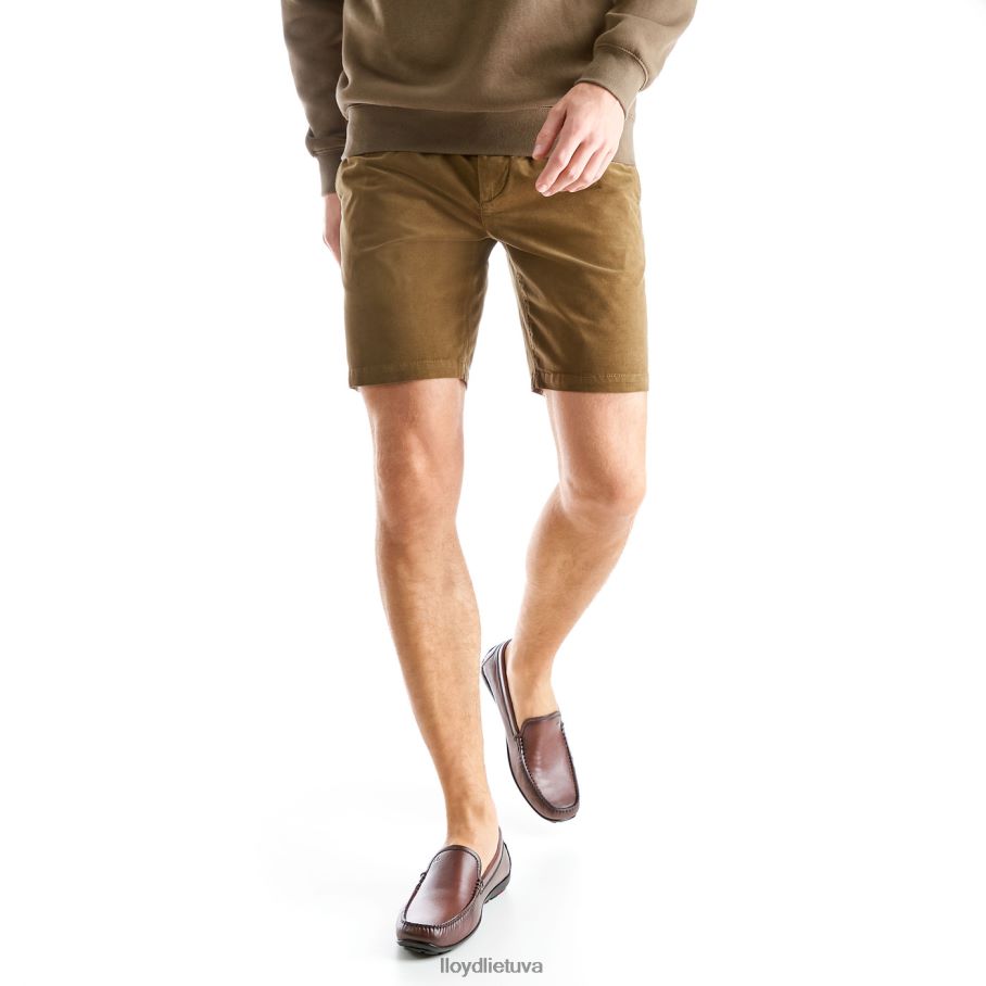 LLOYD Emilio vyrų avalynė rudas VF40PZ618