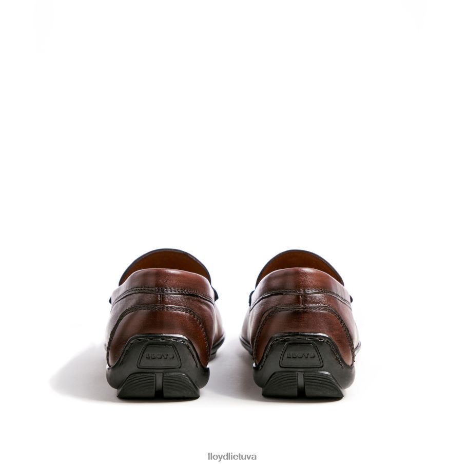 LLOYD Emilio vyrų avalynė rudas VF40PZ618