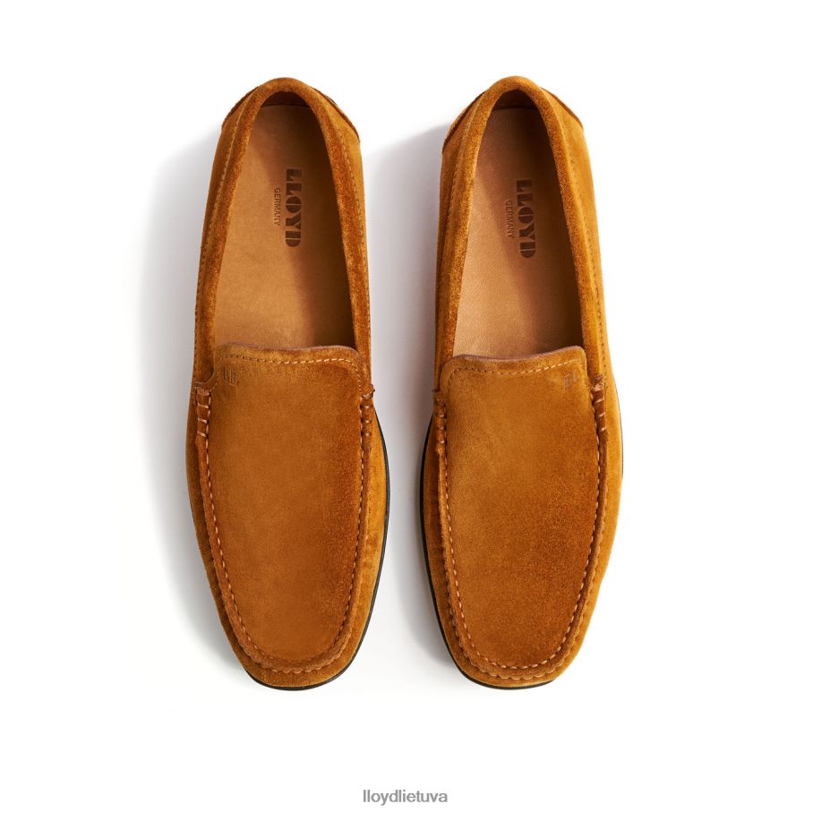 LLOYD Emilio vyrų avalynė rudas VF40PZ620