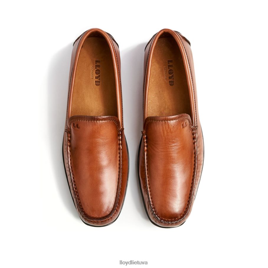 LLOYD Emilio vyrų avalynė rudas VF40PZ621