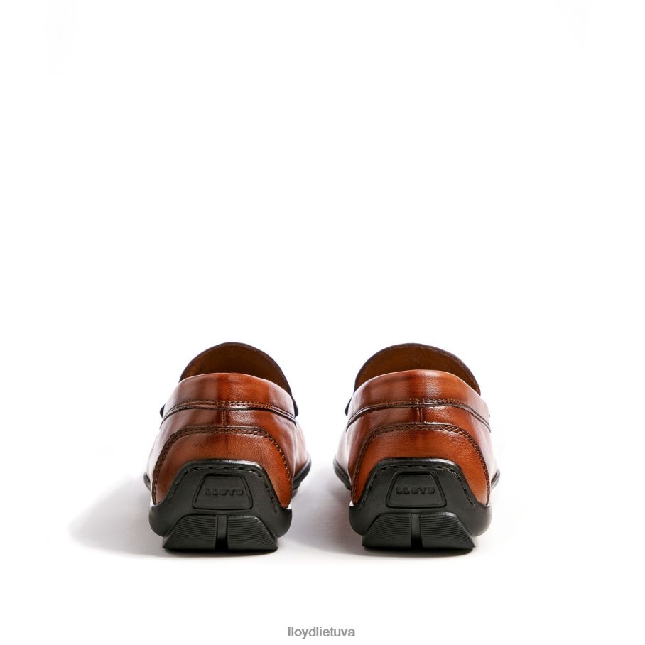 LLOYD Emilio vyrų avalynė rudas VF40PZ621