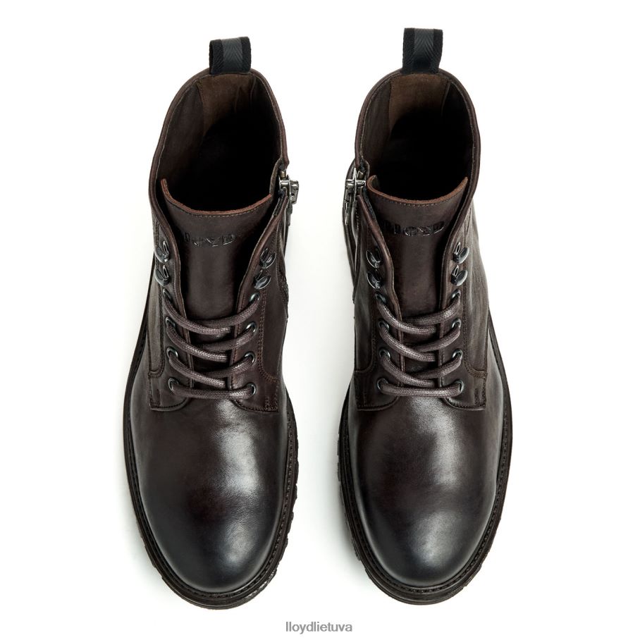 LLOYD Halifaksas vyrų avalynė rudas VF40PZ483