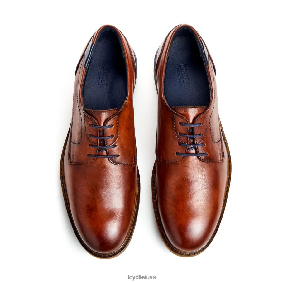 LLOYD Helsinkis vyrų avalynė rudas VF40PZ586