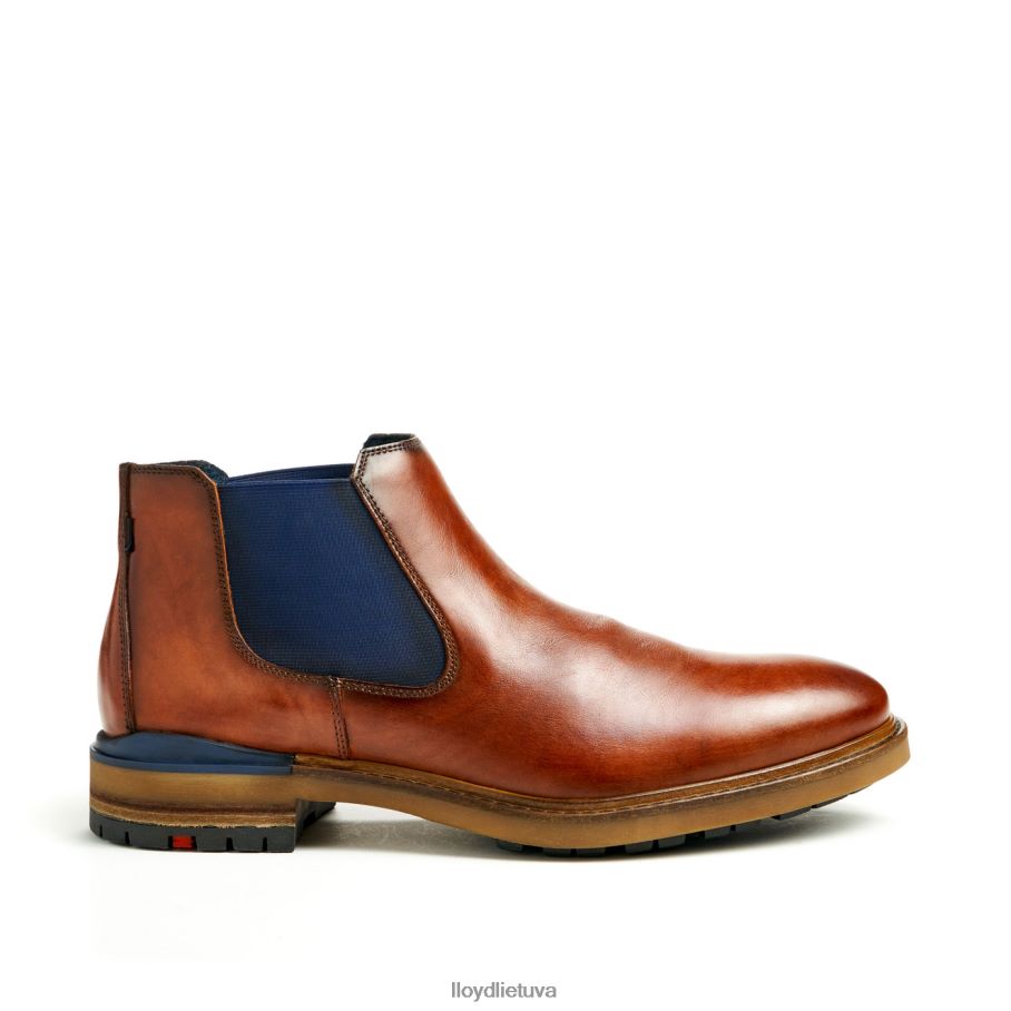 LLOYD Henris vyrų avalynė rudas VF40PZ464