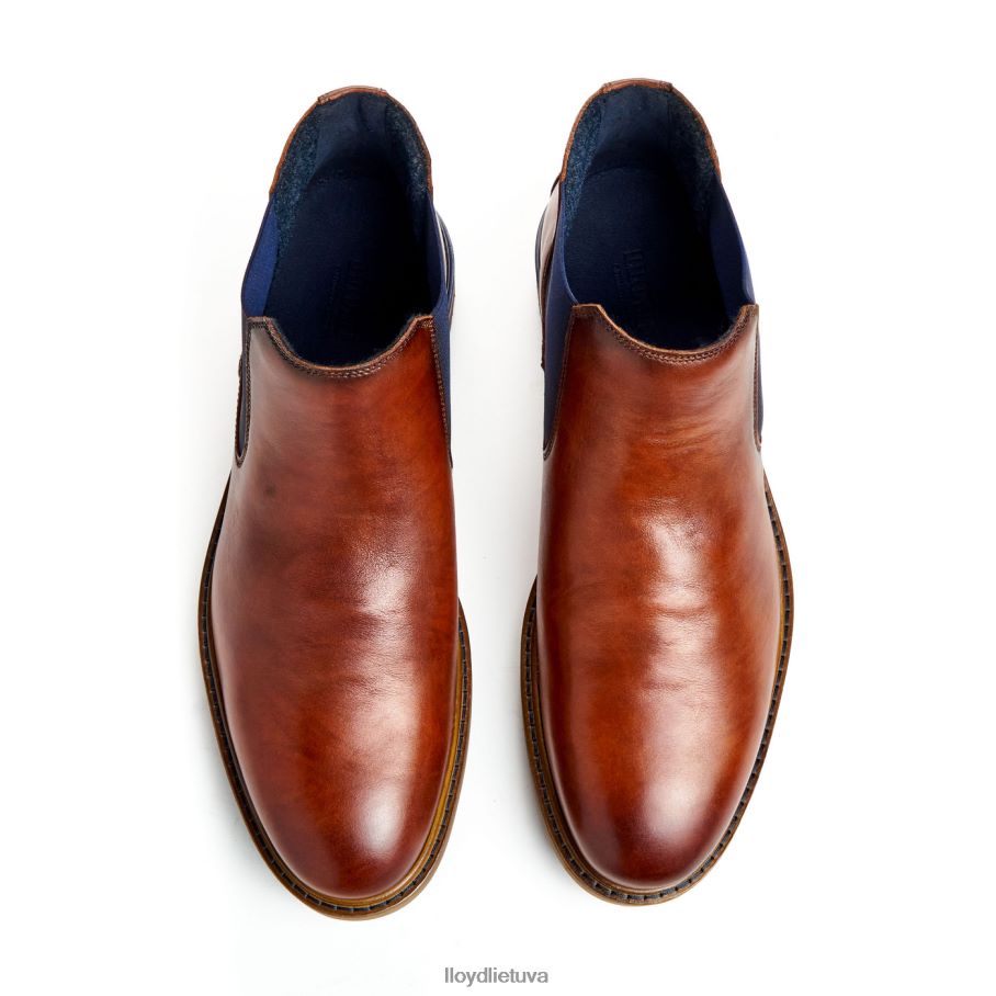 LLOYD Henris vyrų avalynė rudas VF40PZ464