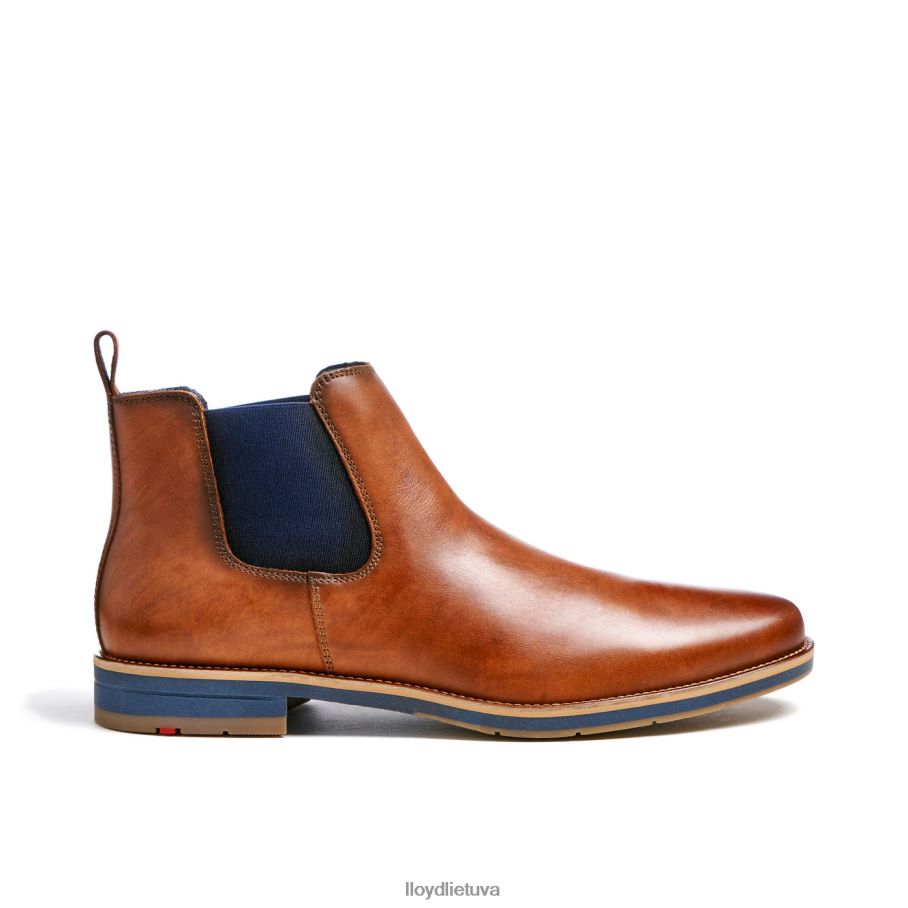 LLOYD Lawrence\as vyrų avalynė rudas VF40PZ453