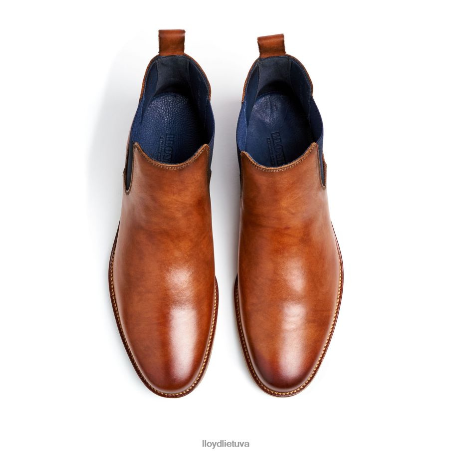 LLOYD Lawrence\as vyrų avalynė rudas VF40PZ453