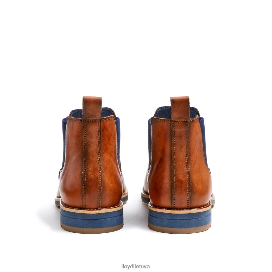 LLOYD Lawrence\as vyrų avalynė rudas VF40PZ453