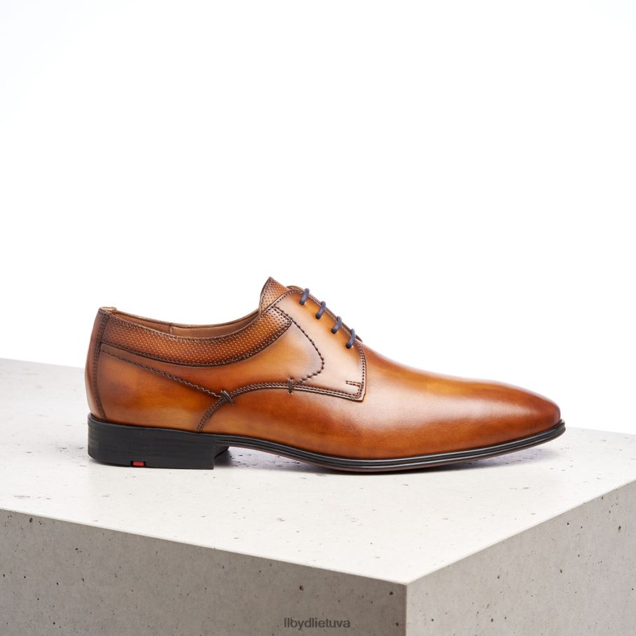 LLOYD Madisonas vyrų avalynė rudas VF40PZ192