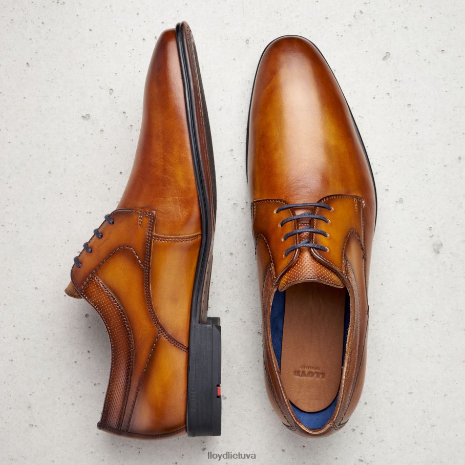 LLOYD Madisonas vyrų avalynė rudas VF40PZ192