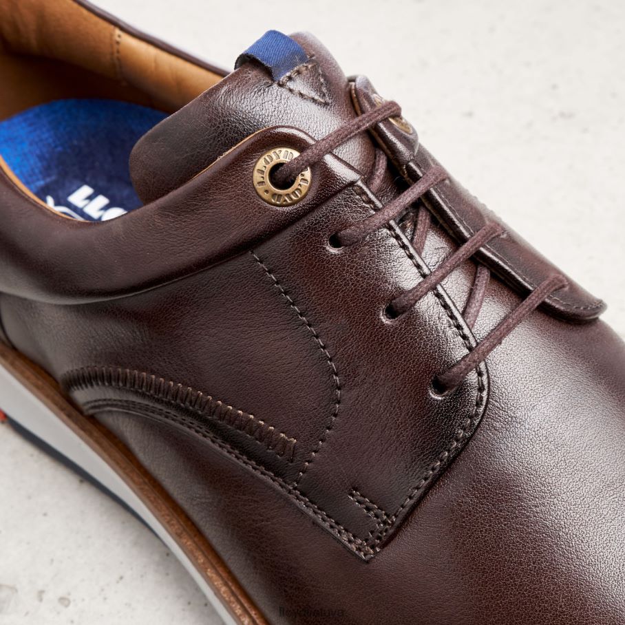 LLOYD Mathew vyrų avalynė rudas VF40PZ242