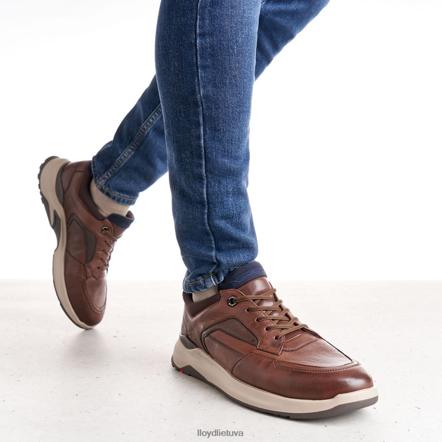 LLOYD Memfis vyrų avalynė rudas VF40PZ267