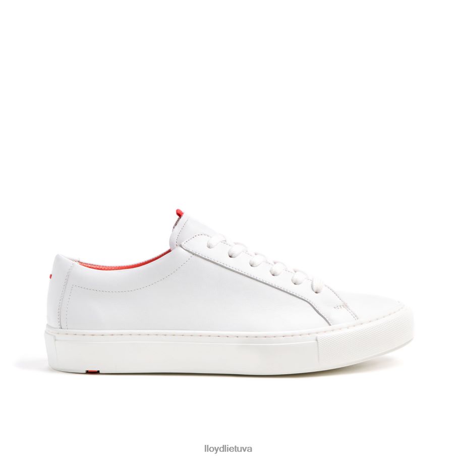 LLOYD Ostinas vyrų avalynė baltas VF40PZ348