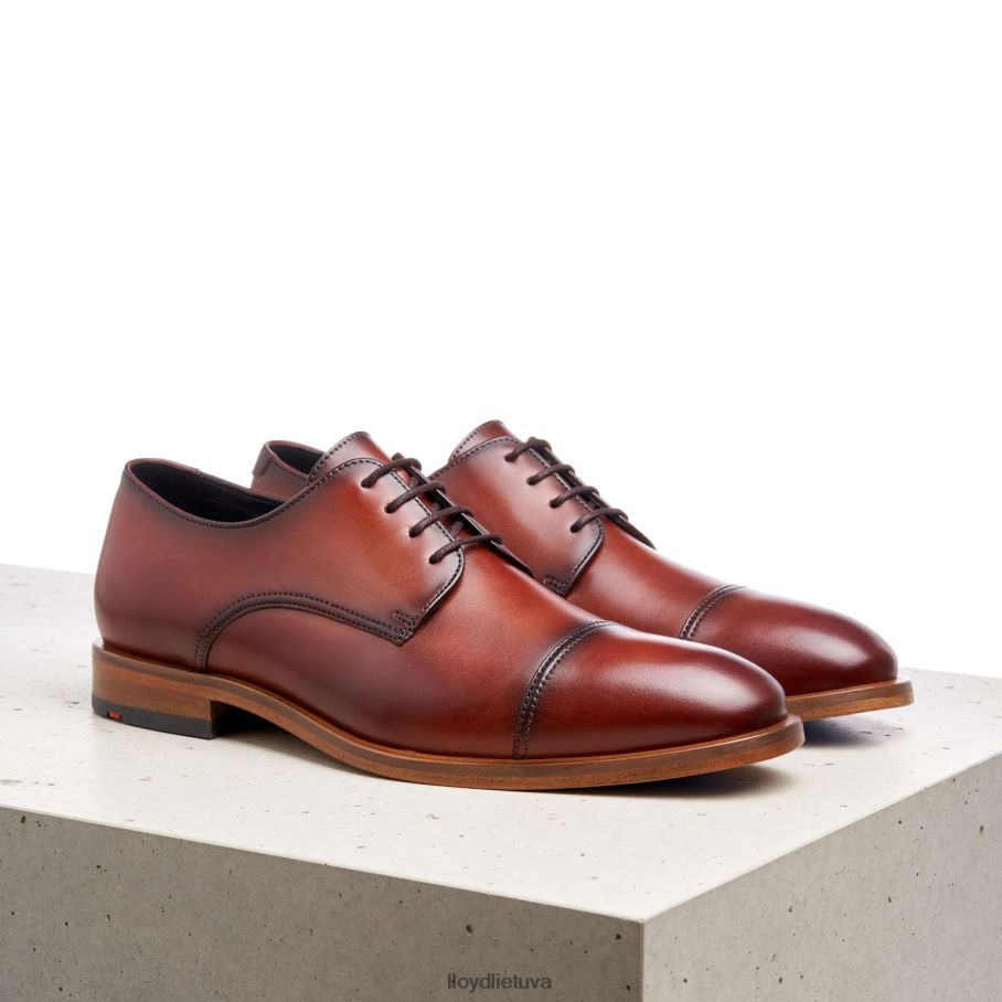 LLOYD Rodney vyrų avalynė rudas VF40PZ195