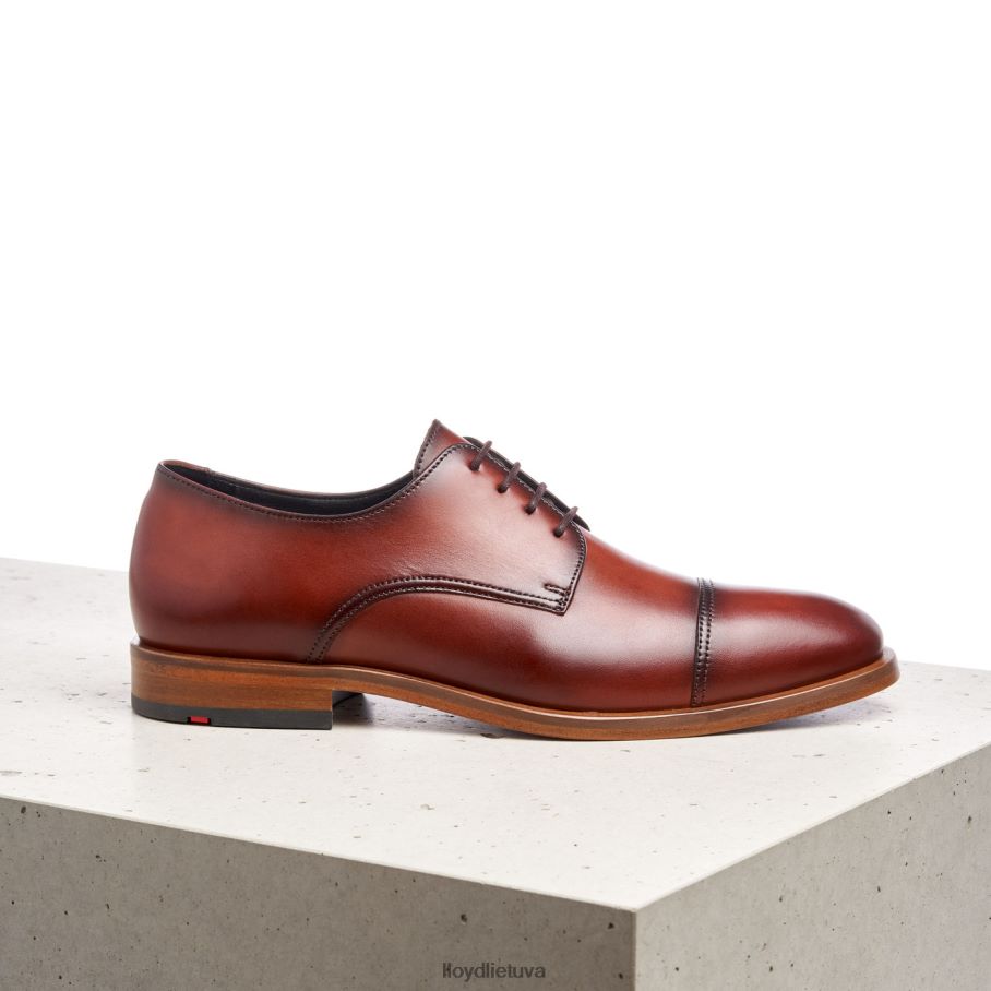 LLOYD Rodney vyrų avalynė rudas VF40PZ195