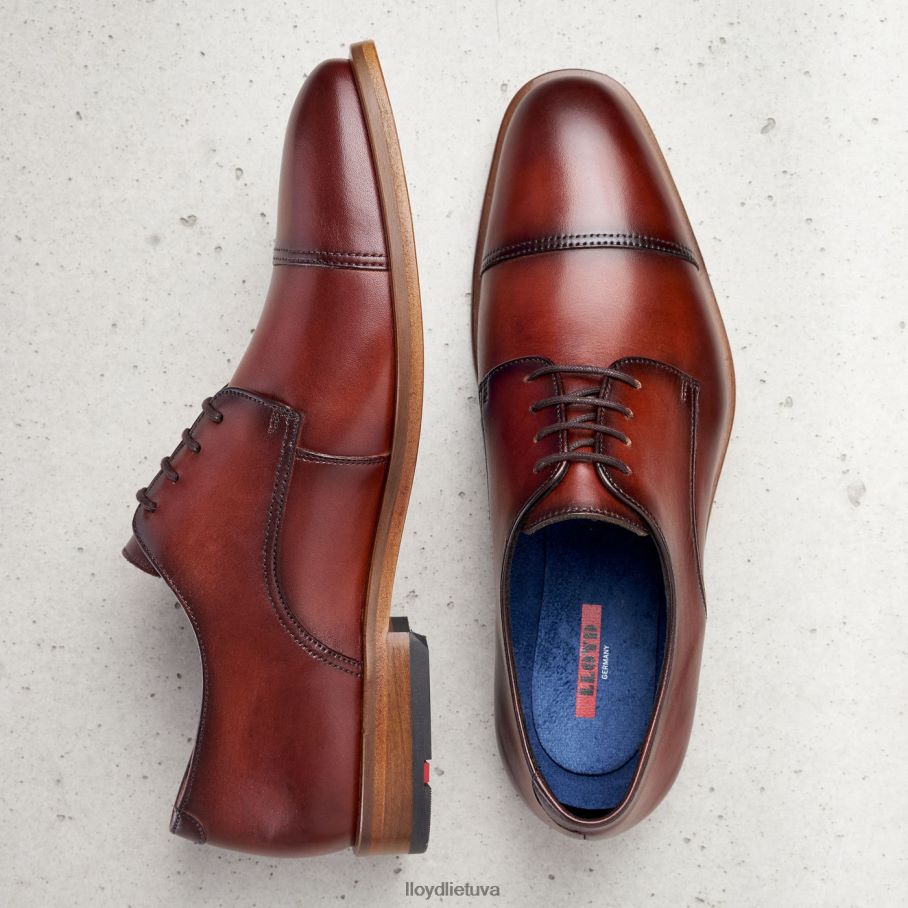 LLOYD Rodney vyrų avalynė rudas VF40PZ195