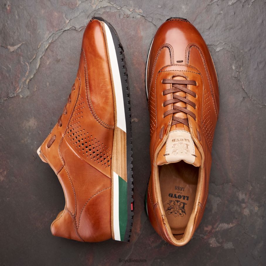 LLOYD Walcott vyrų avalynė rudas VF40PZ180