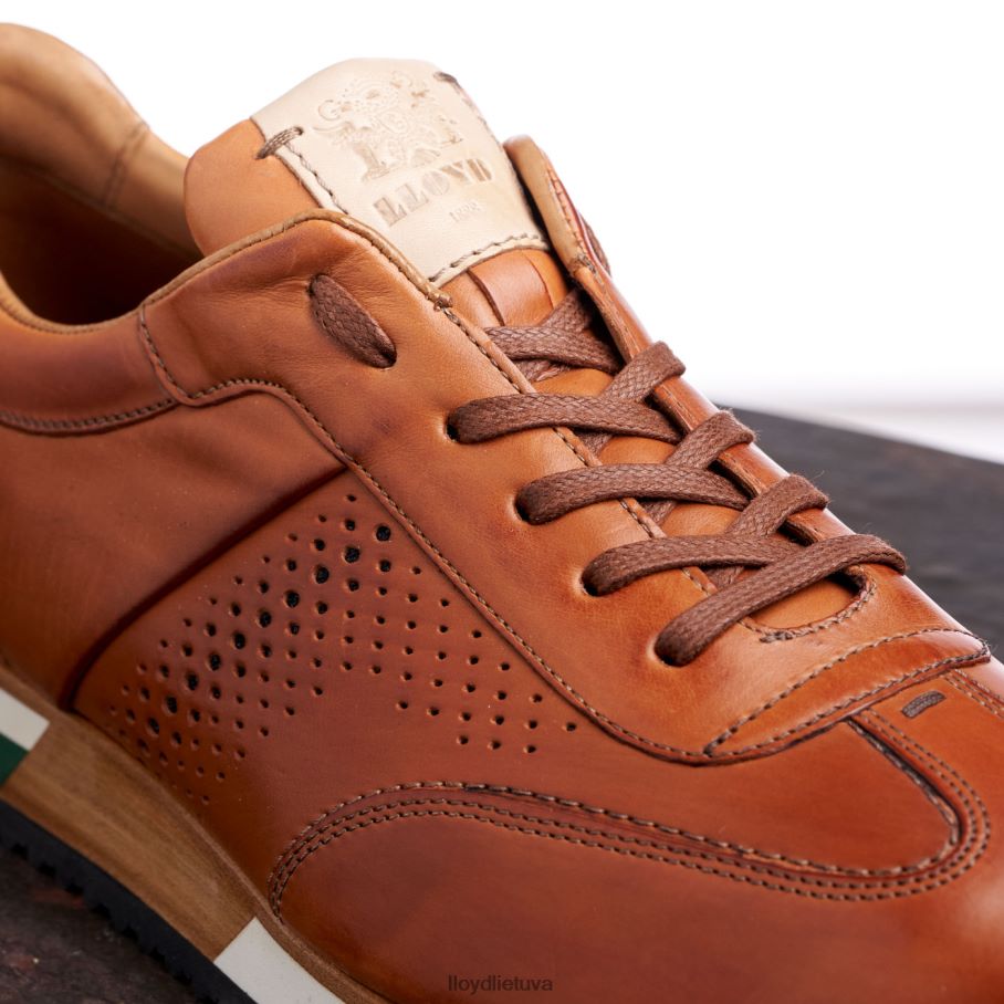 LLOYD Walcott vyrų avalynė rudas VF40PZ180