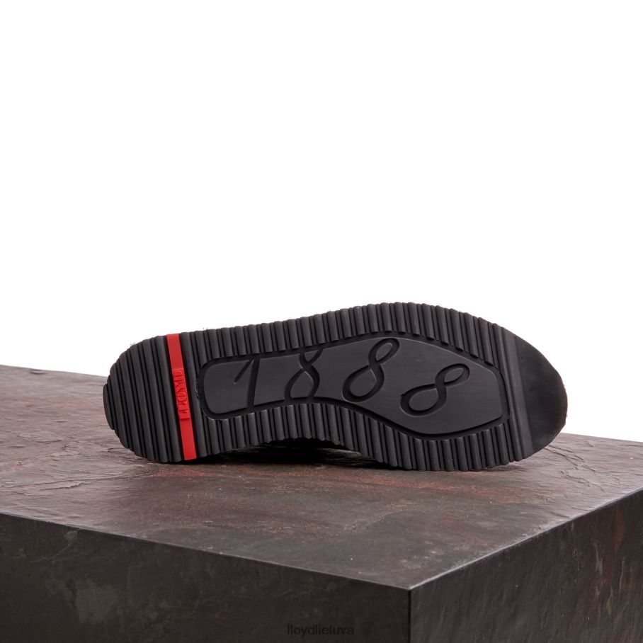 LLOYD Walcott vyrų avalynė rudas VF40PZ180