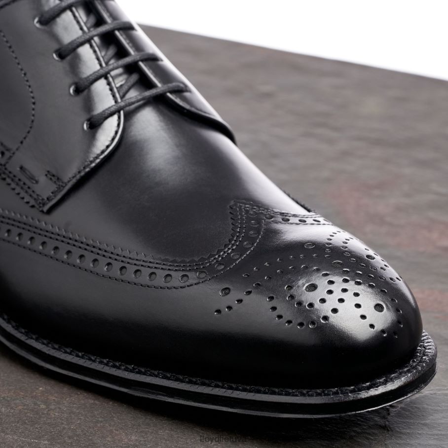 LLOYD Warwick vyrų avalynė juodas VF40PZ18