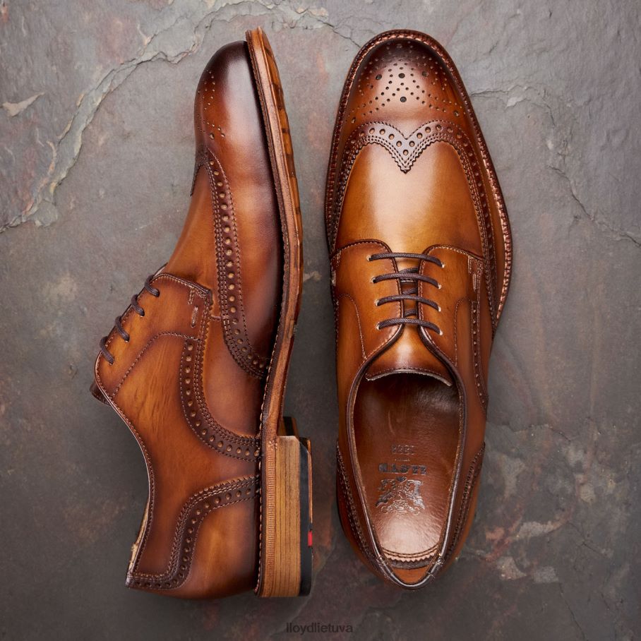 LLOYD Warwick vyrų avalynė rudas VF40PZ74