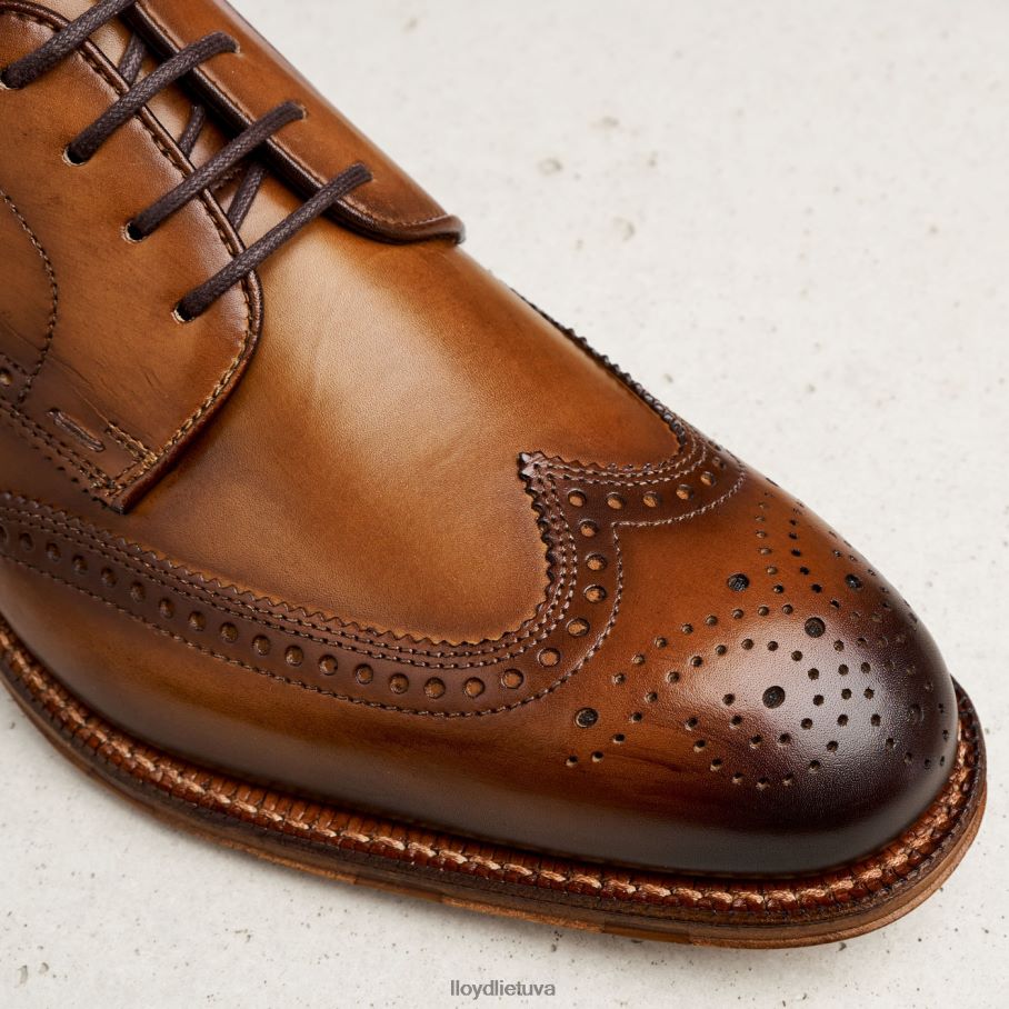 LLOYD Warwick vyrų avalynė rudas VF40PZ74