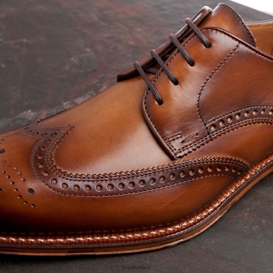 LLOYD Warwick vyrų avalynė rudas VF40PZ74