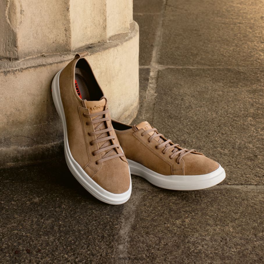 LLOYD aaro vyrų avalynė rudas VF40PZ421