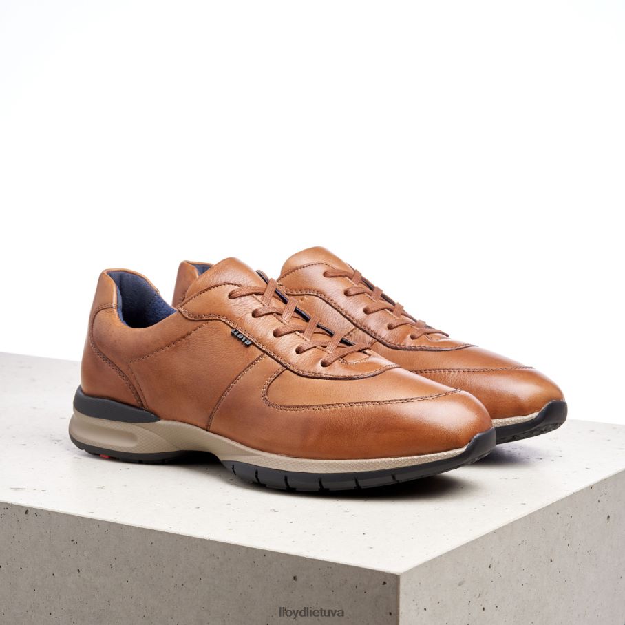 LLOYD aberdynas vyrų avalynė rudas VF40PZ392