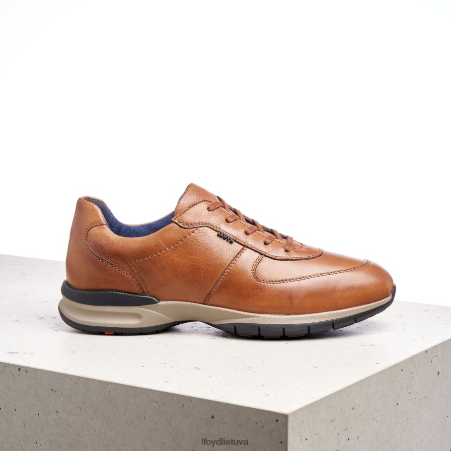 LLOYD aberdynas vyrų avalynė rudas VF40PZ392