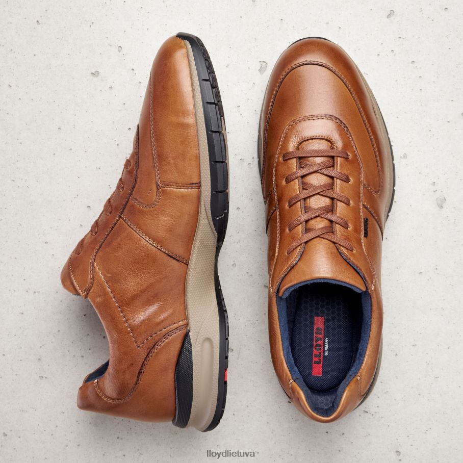 LLOYD aberdynas vyrų avalynė rudas VF40PZ392